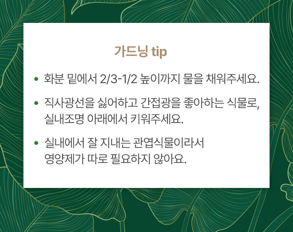 가드닝 tip