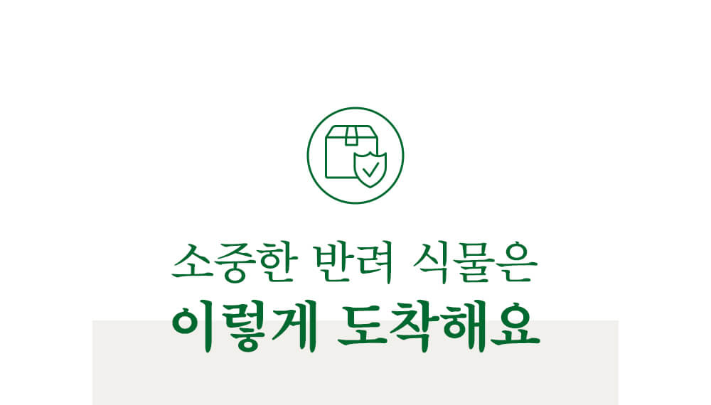 소중한 반려 식물은 이렇게 도착해요